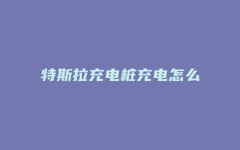 特斯拉充电桩充电怎么付钱