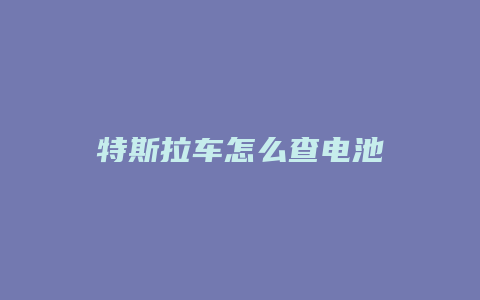 特斯拉车怎么查电池