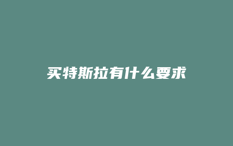 买特斯拉有什么要求