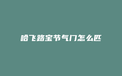 哈飞路宝节气门怎么匹配