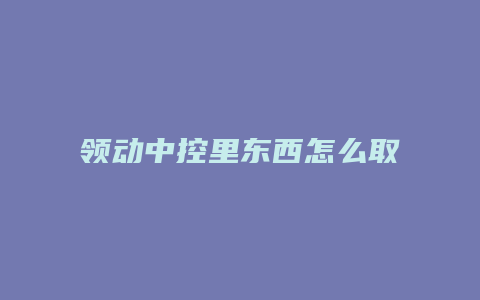 领动中控里东西怎么取出来