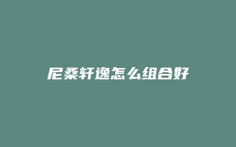 尼桑轩逸怎么组合好