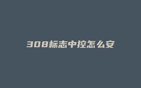 308标志中控怎么安装软件