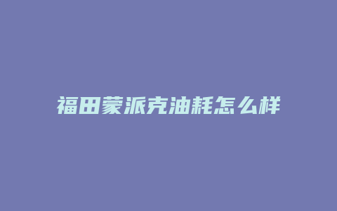 福田蒙派克油耗怎么样