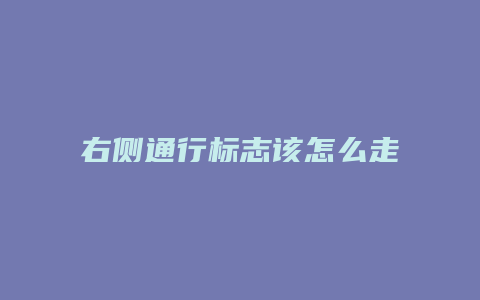 右侧通行标志该怎么走