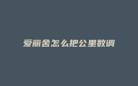 爱丽舍怎么把公里数调到零