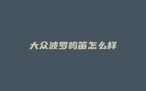 大众波罗鸣笛怎么样