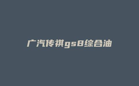 广汽传祺gs8综合油耗怎么看