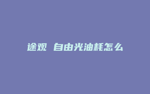 途观 自由光油耗怎么样