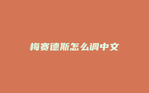 梅赛德斯怎么调中文