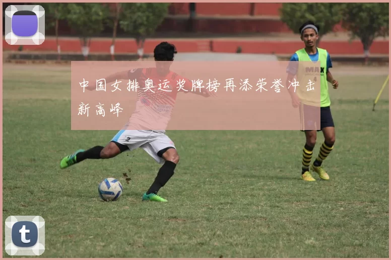 中国女排奥运奖牌榜再添荣誉冲击新高峰