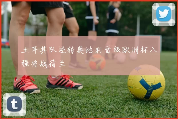 土耳其队逆转奥地利晋级欧洲杯八强将战荷兰