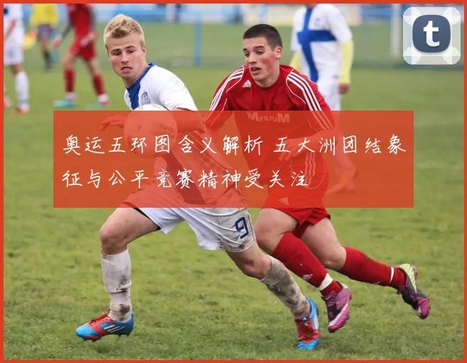 奥运五环图含义解析 五大洲团结象征与公平竞赛精神受关注